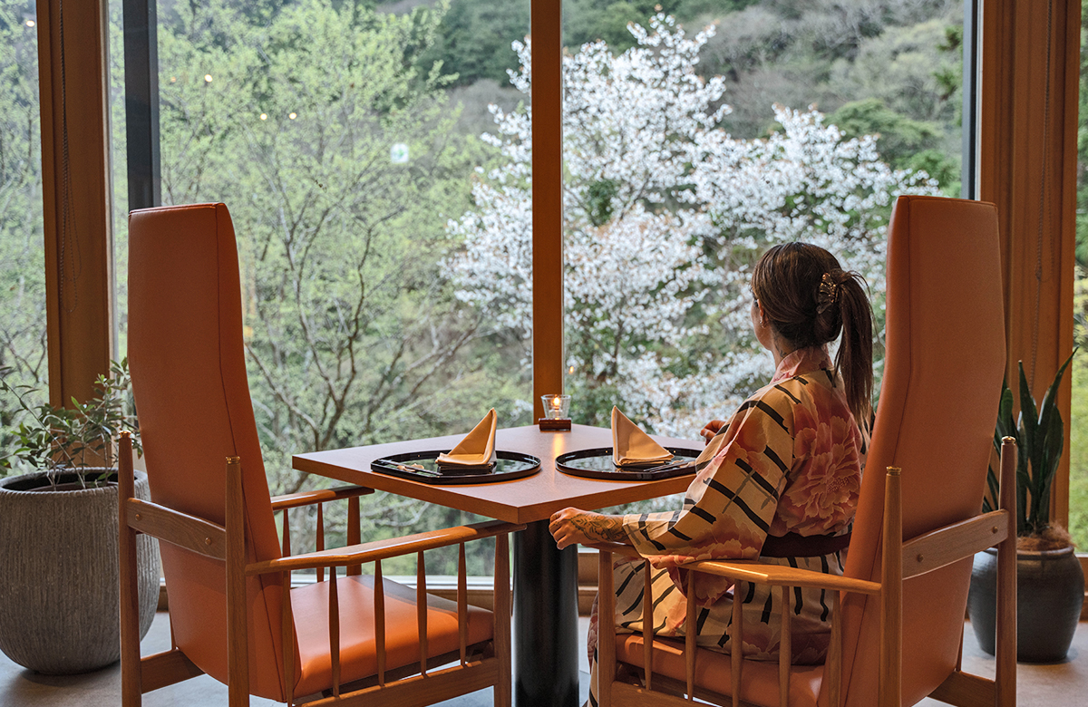 Private Sanctuary Program Tonosawa