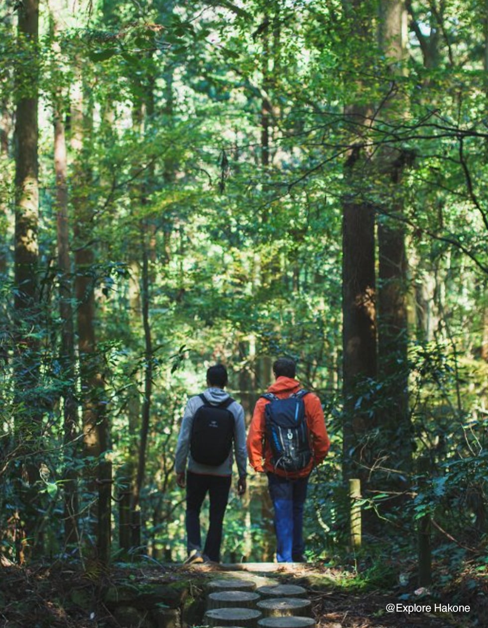 Explore Hakone