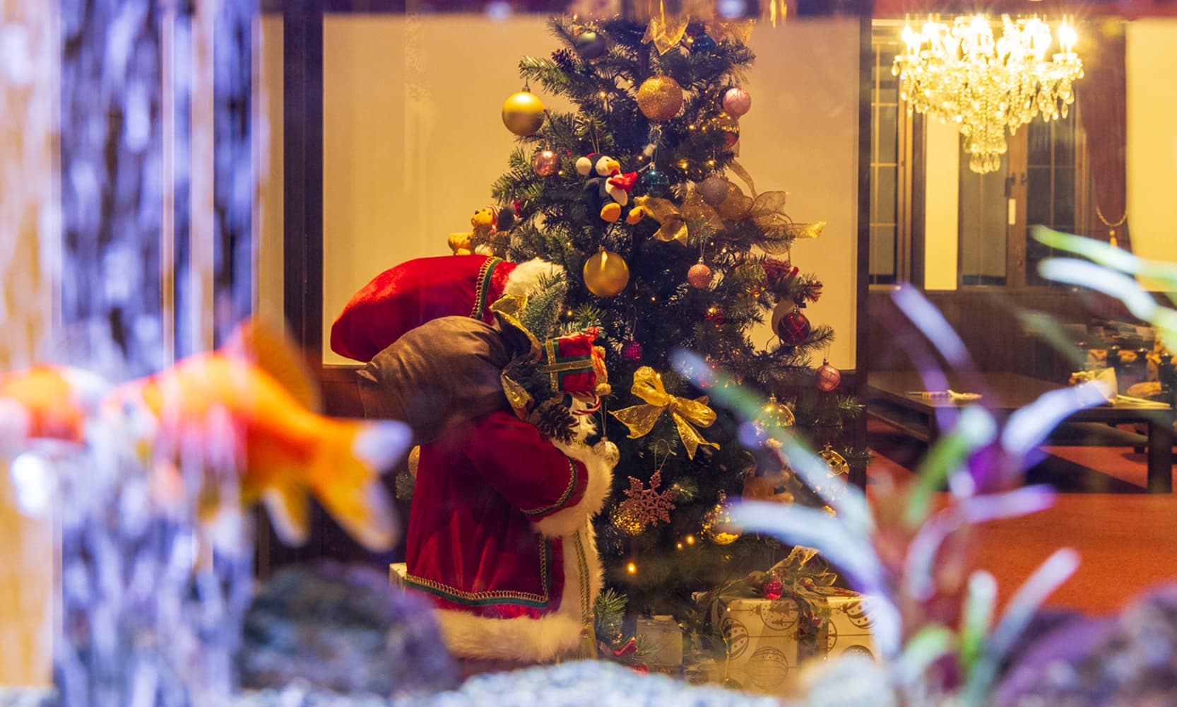 箱根の温泉宿で贅沢に過ごすクリスマス　～五感で感じる冬の特別体験を金乃竹リゾートで～（12/1～25限定）