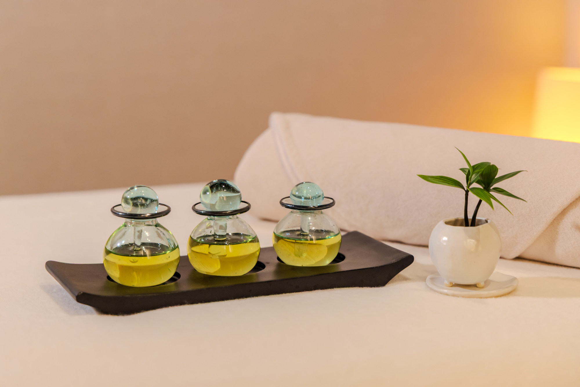 The moon SPA 料金改定のご案内